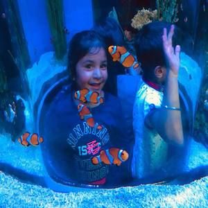 Meet your Posher, Ramanjit